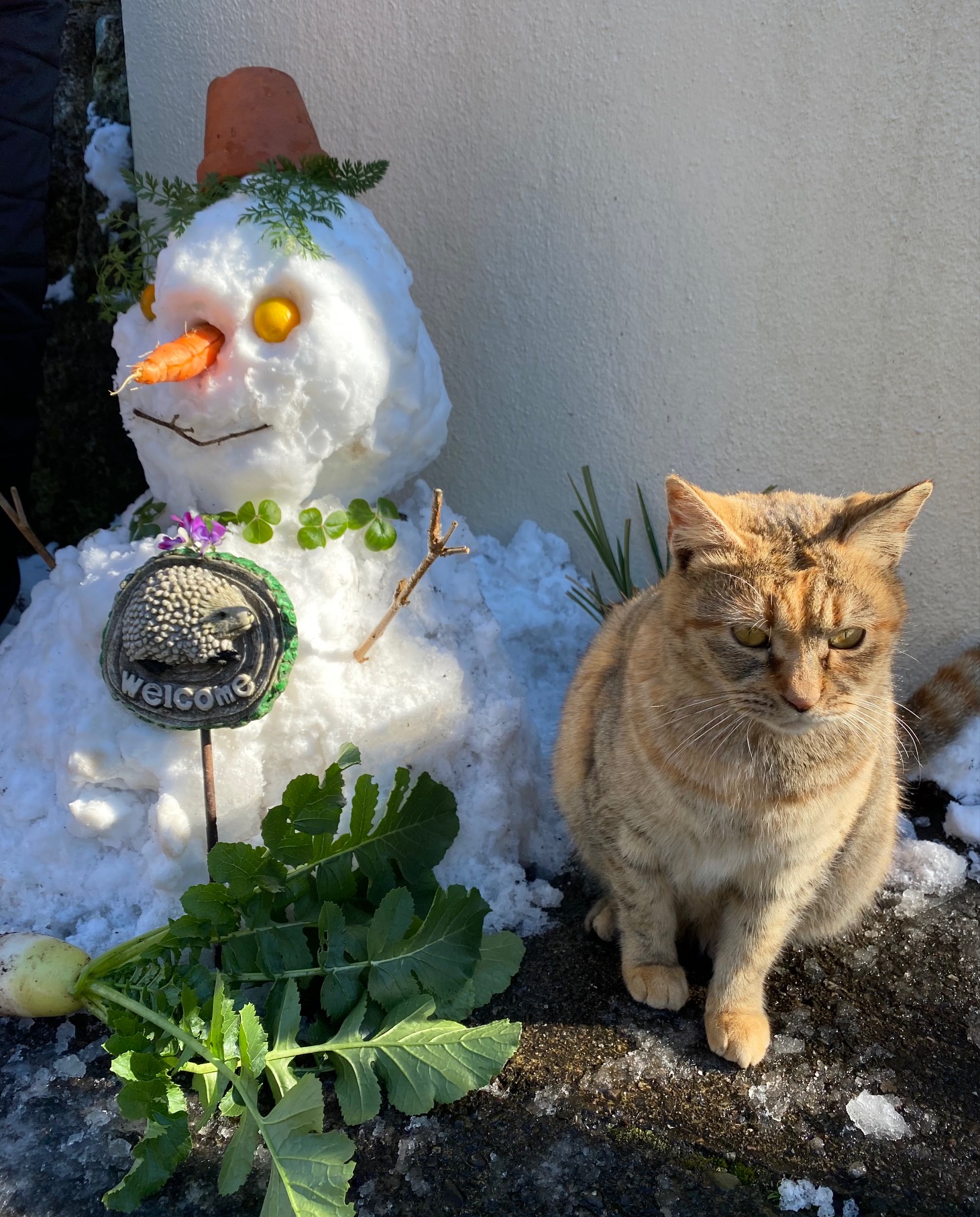 1/5 小寒 (Shokan) News & Tpoics